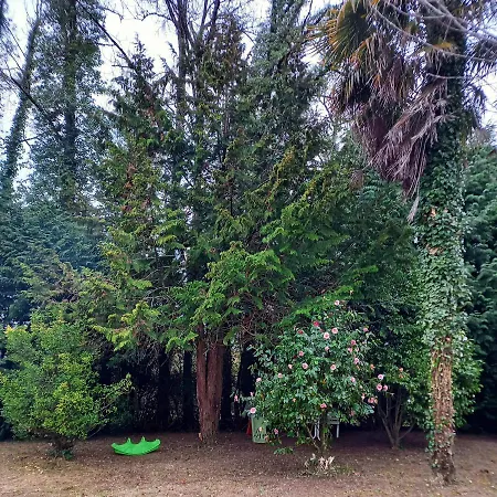 Aux 4 Mousquetaires Athos *